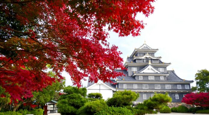 ใบไม้เปลี่ยนสีปราสาท Okayama