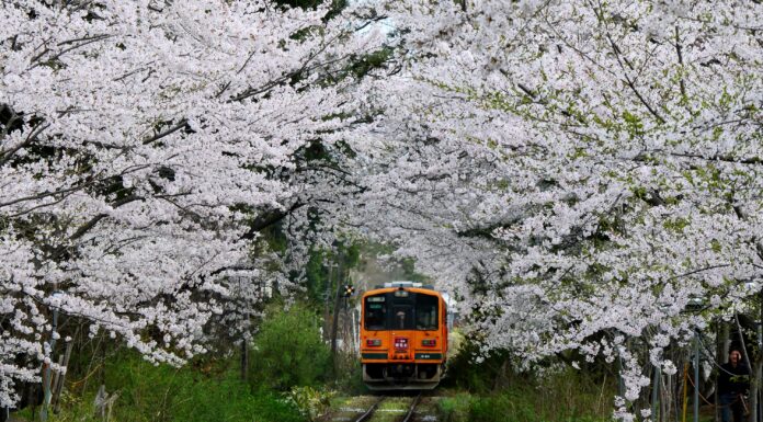 Tohoku Ashino Park
