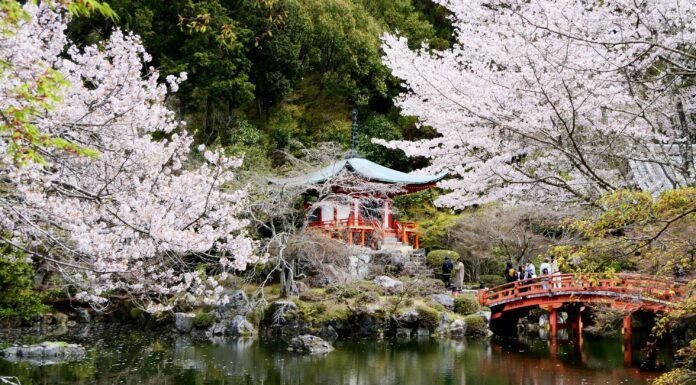 คันไซซากุระวัดไดโกจิ (Daigoji Temple)