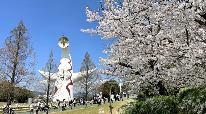 คันไซซากุระสวน Expo’70 Commemorative Park