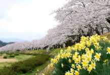 Hinokinai-gawa Zutsumi