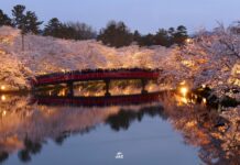 Hirosaki Park