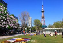 ไลแลค Odori Park