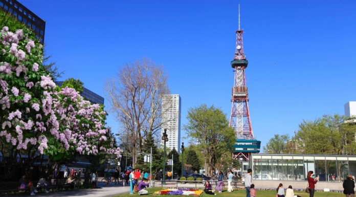 ไลแลค Odori Park