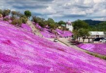 สวนทากิโนะอุเอะ (Takinoue Park)