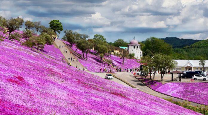 สวนทากิโนะอุเอะ (Takinoue Park)