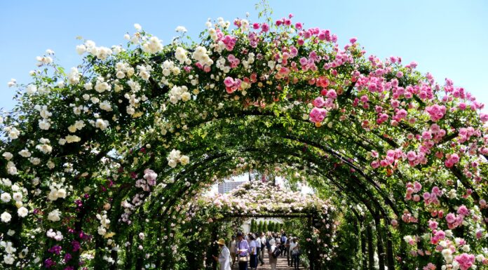 Yokohama English Garden