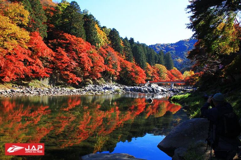 โครังเค (Korankei) สถานที่ชมใบไม้เปลี่ยนสีที่อยู่ในจังหวัดไอจิ (Aichi)