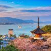 JR West Kansai-Hiroshima Area Pass 5 Days - บัตร JR Pass สำหรับคันไซและฮิโรชิม่า 5 วัน - Image 3