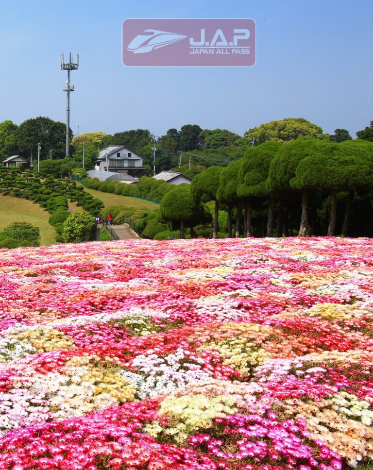 Jr Pass พาเที่ยวชิล ที่คิวชูเหนือ ด้วย JR Kyushu North