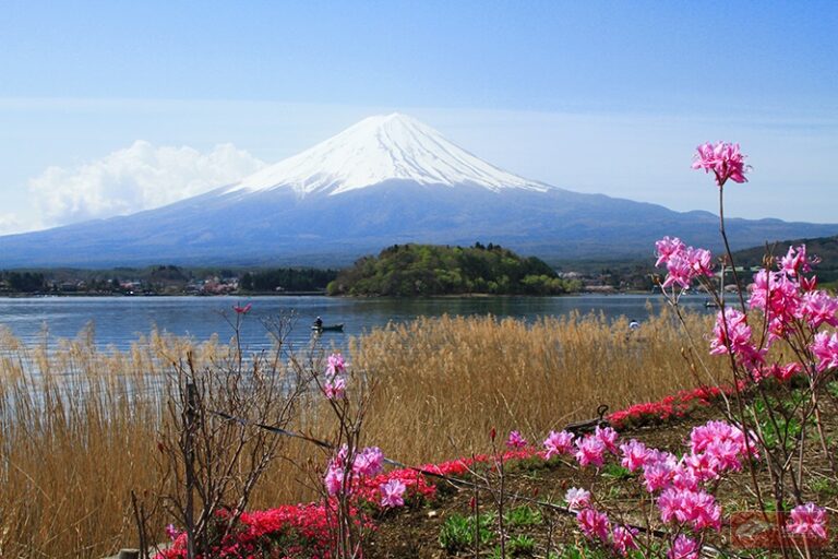 วันสบายๆ กับทะเลสาบคาวากุจิโกะ (Kawaguchiko Lake )