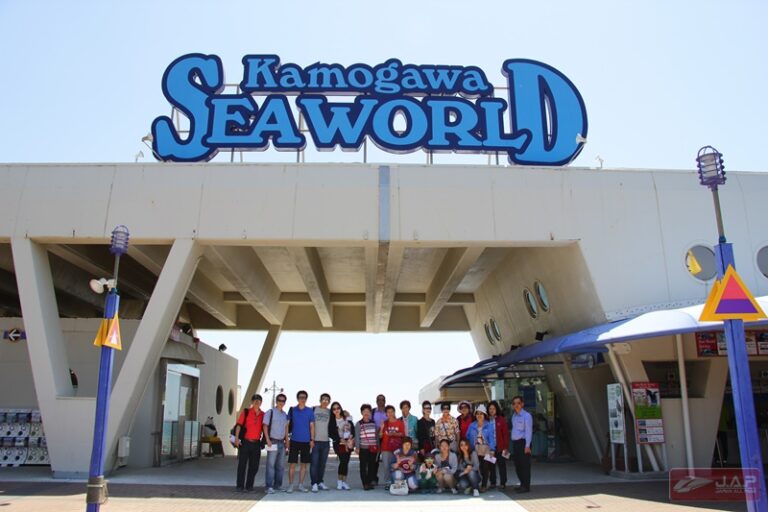 Kamogawa Sea World สัตว์ทะเลน่ารัก