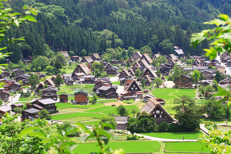หมู่บ้านในฝัน Shirakawago