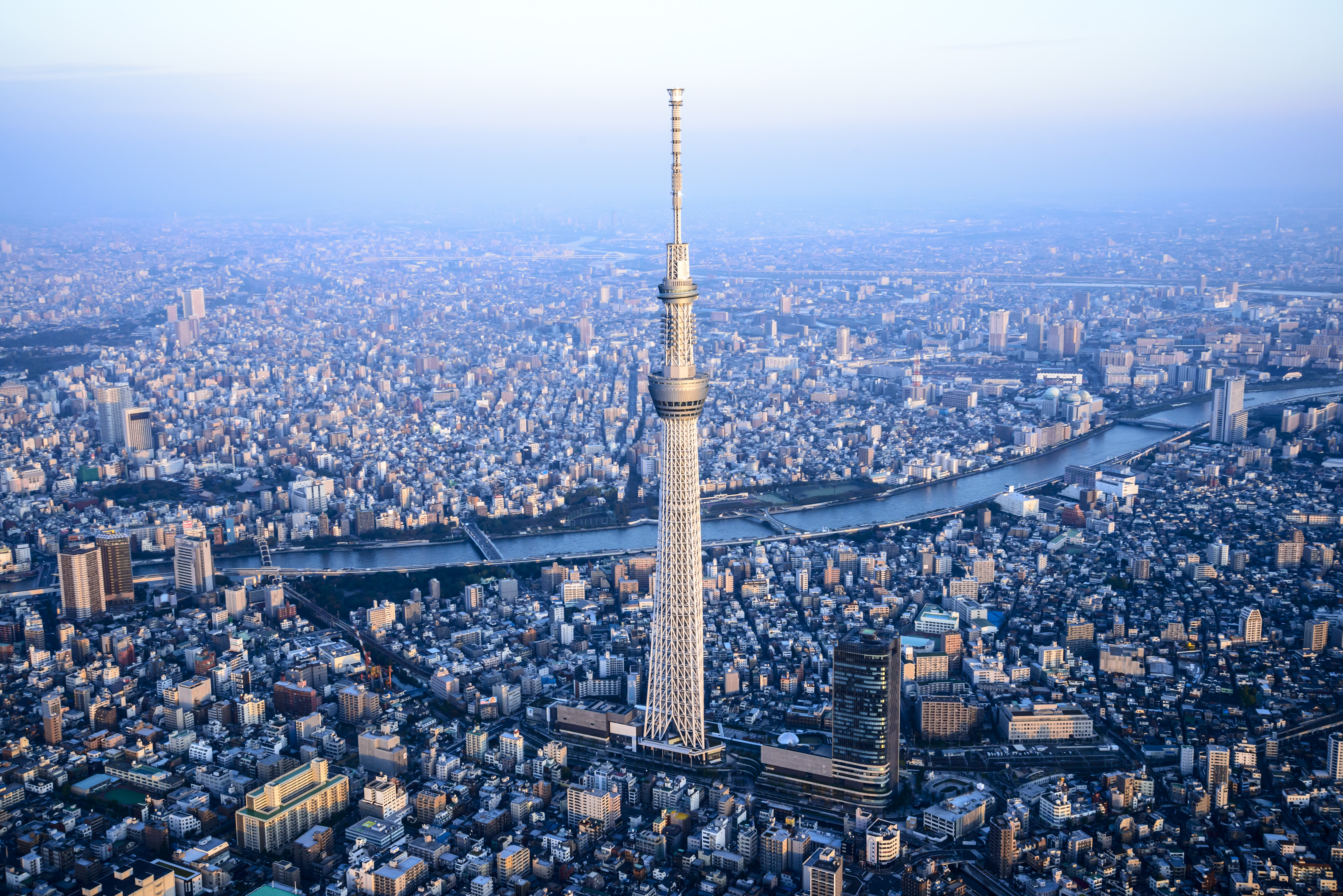 Tokyo tree. Телебашня небесное дерево в Токио. Телевизионная башня Skytree, Токио. Tokyo Sky Tree Япония. «Небесное дерево», Токио (Tokyo Skytree).