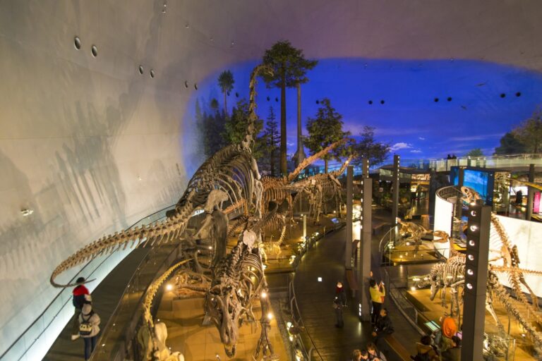 สุดยอดพิพิธภัณฑ์ไดโนเสาร์ท่ามกลางวิวสุดธรรมชาติ (Fukui Prefectural Dinosaur Museum)