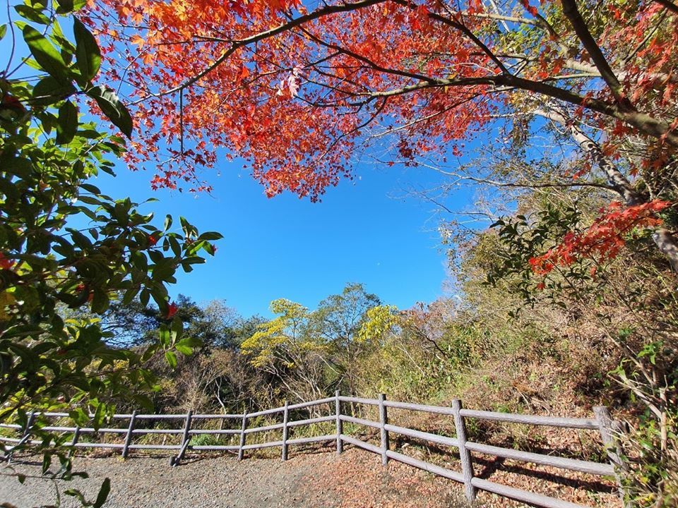 Ryujin Suspension Bridge 05