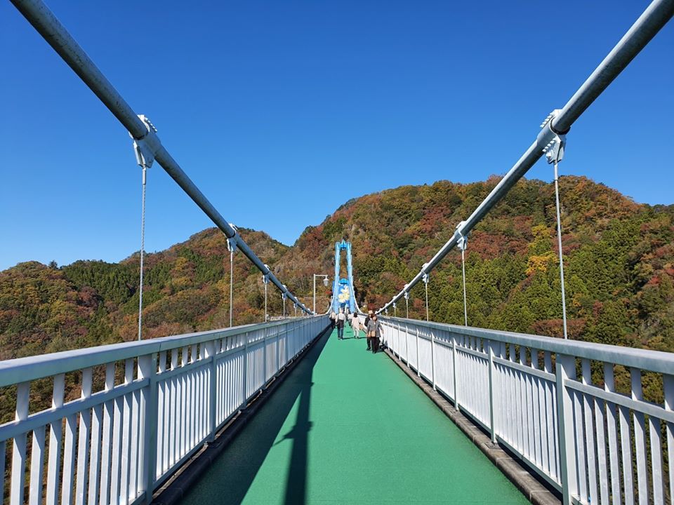 Ryujin Suspension Bridge 11