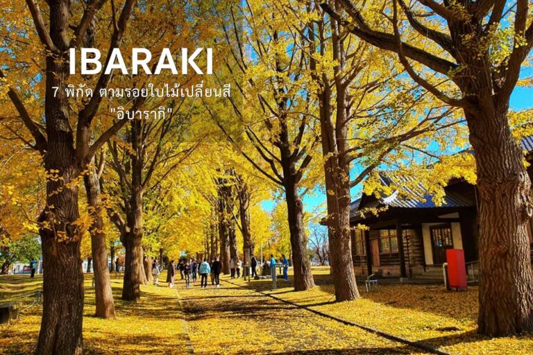 Ibaraki 7 พิกัดตามรอยใบไม้เปลี่ยนสี “อิบารากิ”