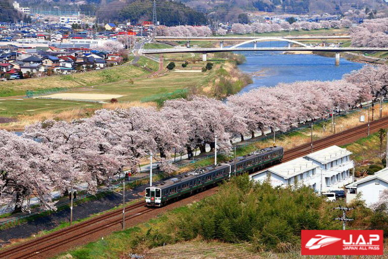 เที่ยวสุดฟิน in Sendai ไม่ไปไม่ได้แล้ว!!!