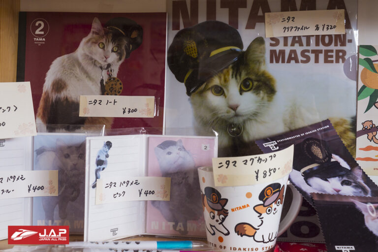 WAKAYAMA : One Day Trip ของเหล่าทาสแมวในญี่ปุ่น