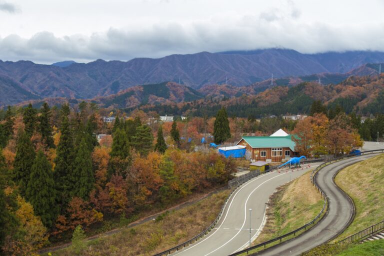 พิพิธภัณฑ์ไดโนเสาร์ Katsuyama Fukui