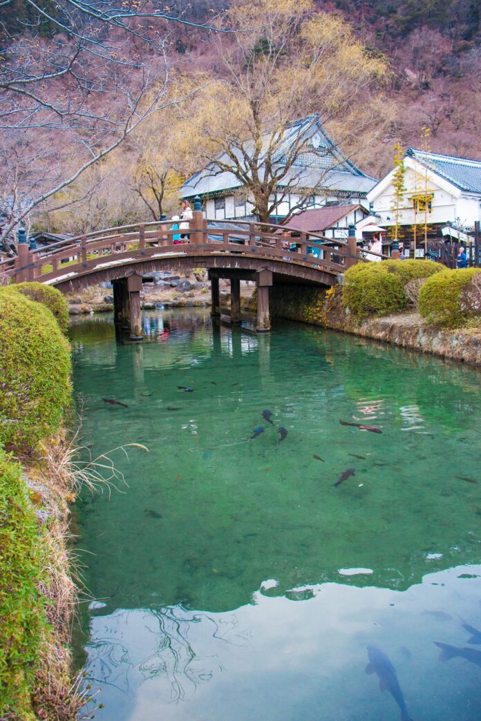 Edo Wonderland