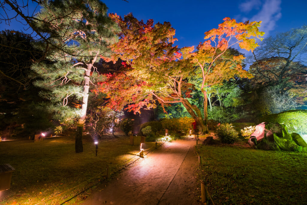 Tokyo Rikugien Garden 5 1