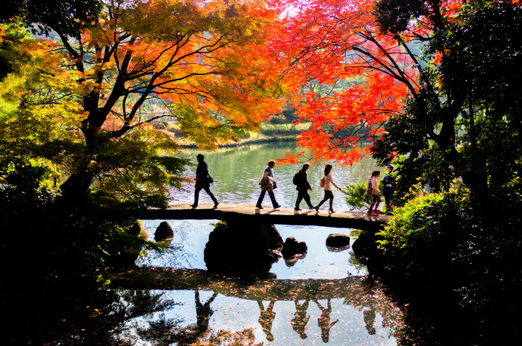 Tokyo Rikugien Garden 7