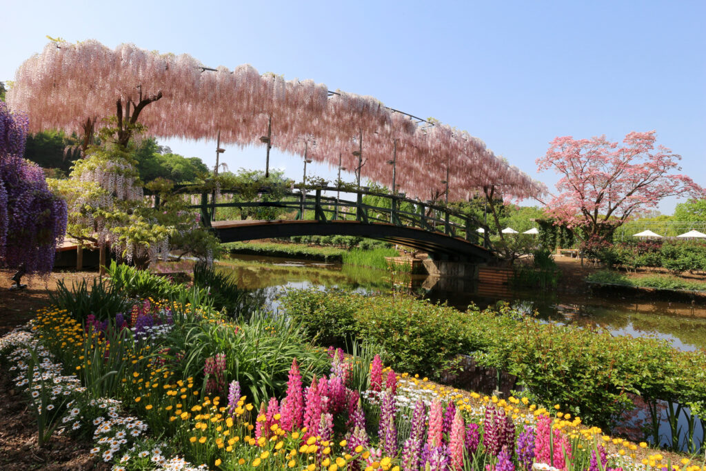 Ashikaga Flower Park 06 1
