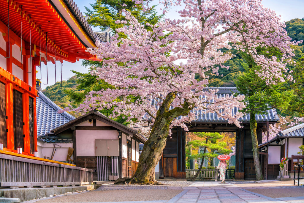 Kiyomizu dera Temple 04