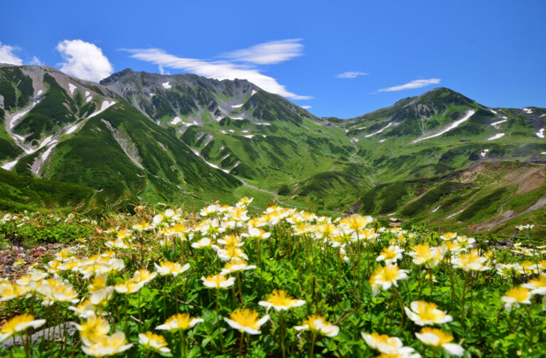เส้นทางเจแปนแอลป์ ทาเตยามะ-คุโรเบะ (Tateyama Kurobe Alpine Route)
