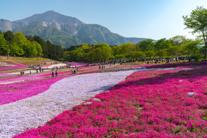 Hitsujiyama Park