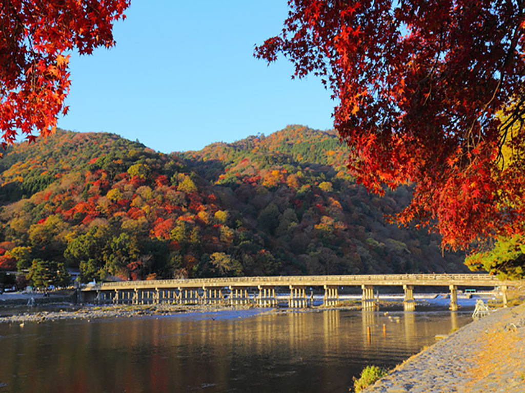 Arashiyama autumn【pl ID2976043】