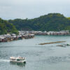 บัตร JR Kansai Wide Area Pass 5 Days - บัตร JR Pass สำหรับภูมิภาคคันไซ - Image 4