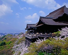 Kiyomizu Temple 2【pl ID418428】