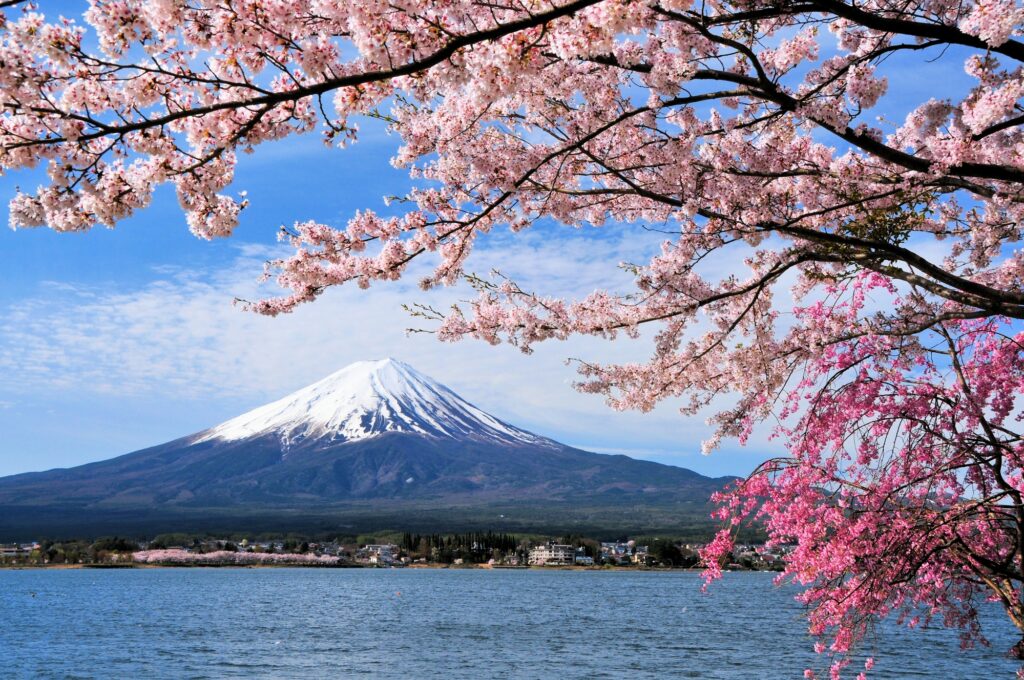 Mt. Fuji pl ID4833454