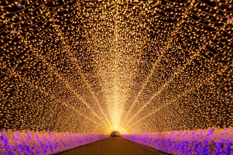 อัพเดทวันจัดงาน Nabana no sato lllumination 2023-2024