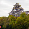 บัตร JR Setouchi Area Pass 7 Days - Image 4