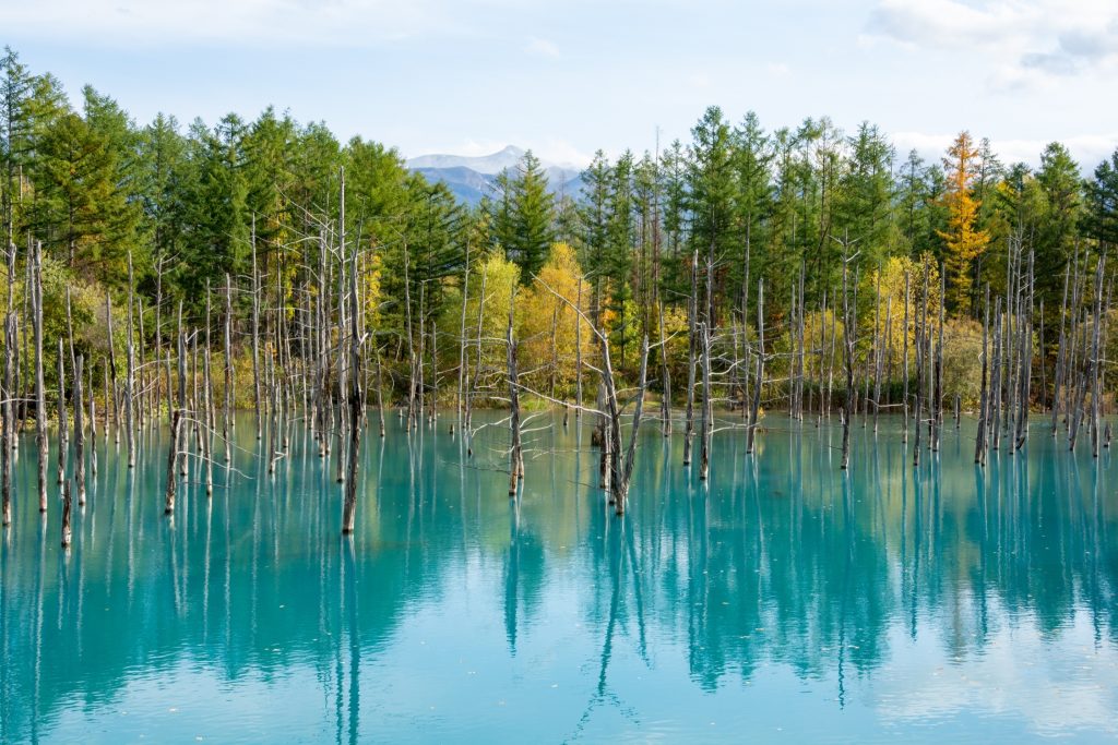 Blue Pond Hokkaido