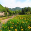 บัตร JR Kyushu (North) Rail Pass - Image 5