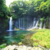 บัตร JR Mt.Fuji-Shizuoka Area Tourist Pass Mini 3 Days - Image 5