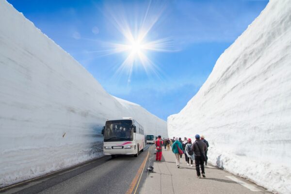 JR Alpine Takayama Matsumoto Area Tourist Pass