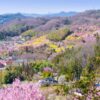 JR East Pass Tohoku Area Pass 5 Days - บัตร JR East Pass สำหรับโทโฮคุ - Image 3
