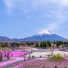 บัตร JR Mt.Fuji-Shizuoka Area Tourist Pass Mini 3 Days - Image 4