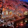 JR West Kansai-Hokuriku Area Pass 7 Days - บัตร JR Pass สำหรับคันไซเเละโฮคุริคุ 7 วัน - Image 5