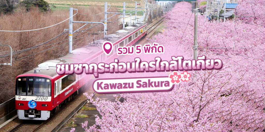 sakura coverpage Recovered 3