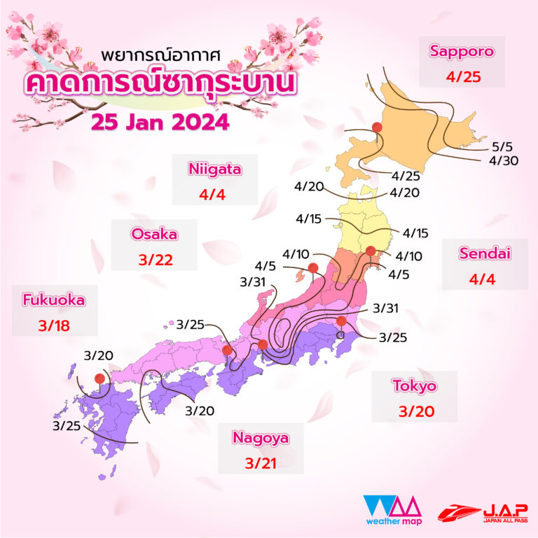 พยากรณ์ซากุระบาน อัพเดต 25 มกราคม 67 ของค่าย Weathermap (WM)