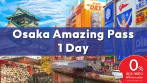 osaga amezing Osaka Amazing Pass copy 2 scaled