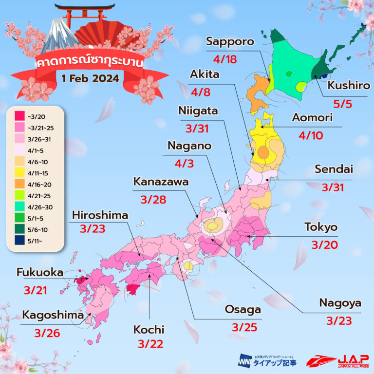 พยากรณ์ซากุระบาน อัพเดต 1 กุมภาพันธ์ 67 ของค่าย Weathernews (WN)