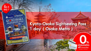 Kyoto Osaka Sightseeing Pass 1 day Osaka Metro 3